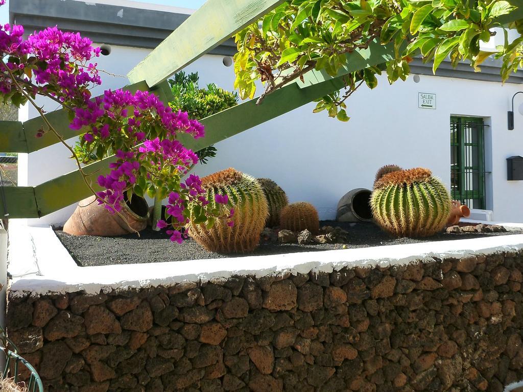 Apartamentos Guacimeta Матагорда Экстерьер фото